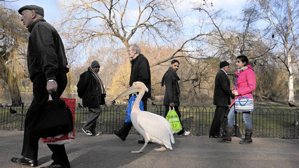 We Forget Our True Nature