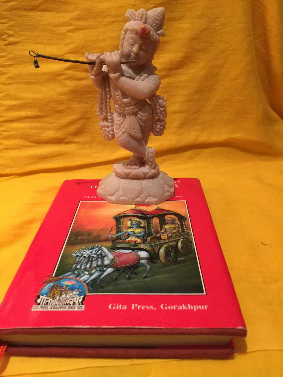 Vision of My Krsna in My Heart