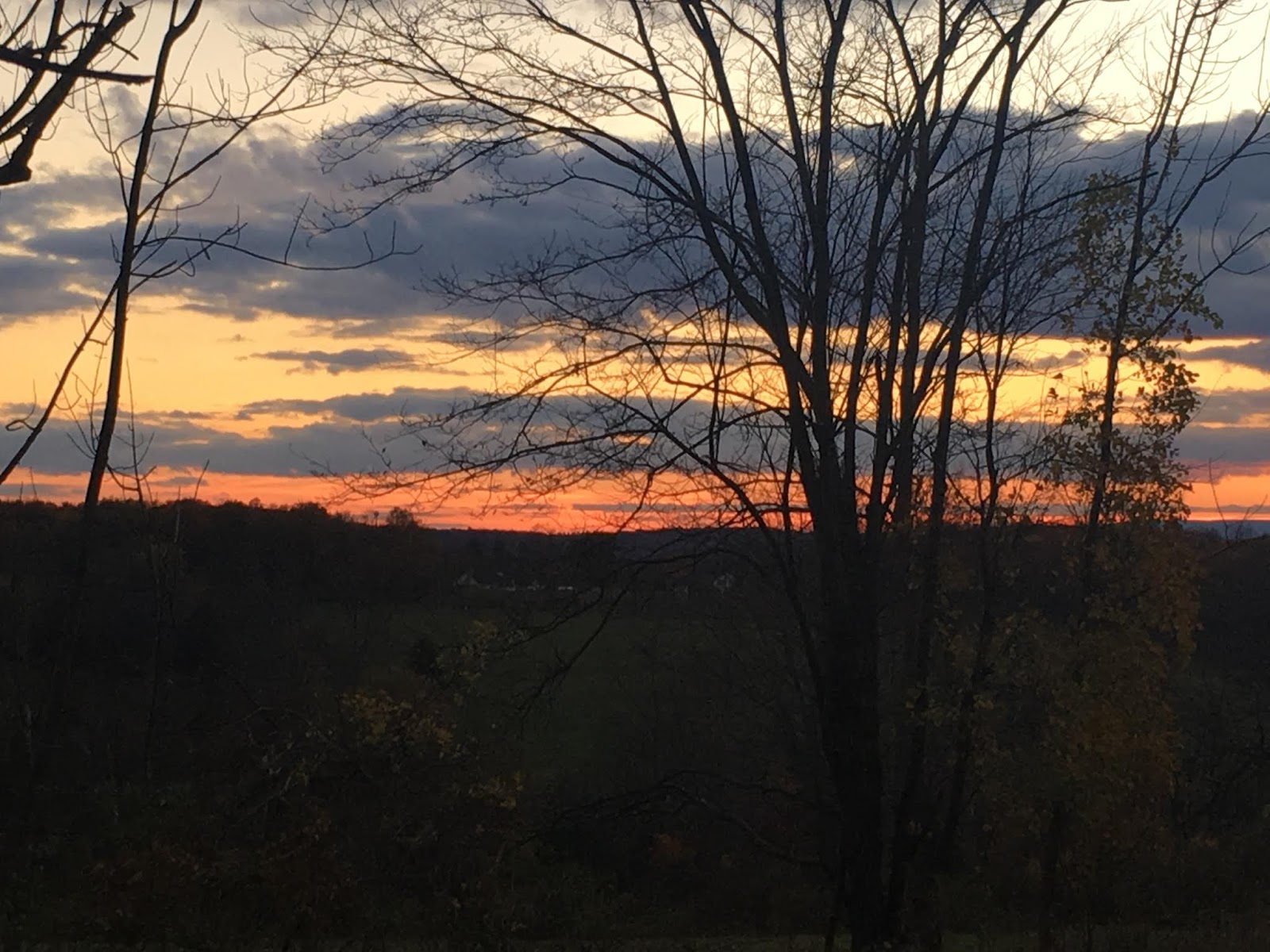 Get Out Of It Quickly!